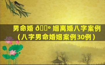 男命婚 🐺 姻离婚八字案例（八字男命婚姻案例30例）